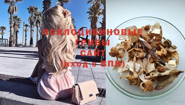гашик Верхнеуральск