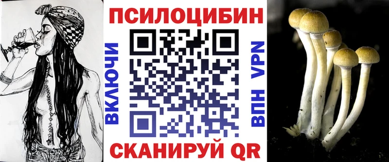 blacksprut ССЫЛКА  Кириши  Галлюциногенные грибы Psilocybe  купить  